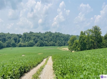 Bramlett Road, Greensburg, Kentucky 42743, ,For Sale,Bramlett Road,HK24002841