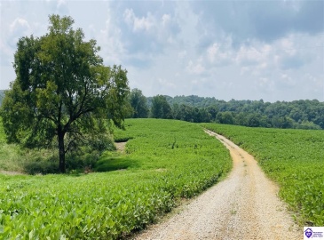 Bramlett Road, Greensburg, Kentucky 42743, ,For Sale,Bramlett Road,HK24002841