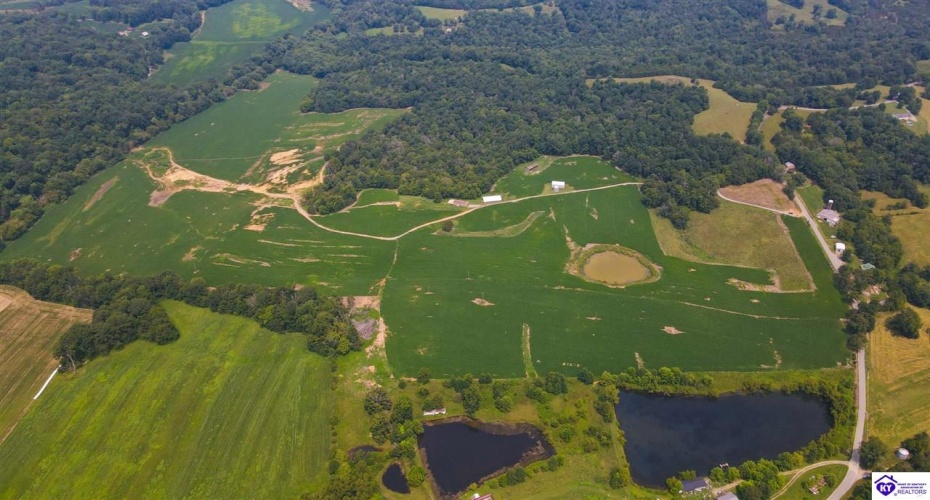 Bramlett Road, Greensburg, Kentucky 42743, ,For Sale,Bramlett Road,HK24002841