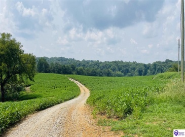 Bramlett Road, Greensburg, Kentucky 42743, ,For Sale,Bramlett Road,HK24002841