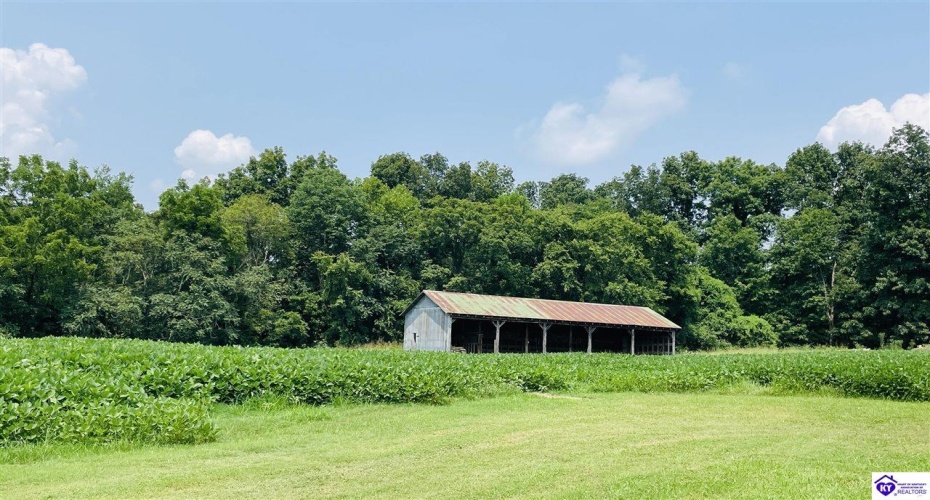 Bramlett Road, Greensburg, Kentucky 42743, ,For Sale,Bramlett Road,HK24002841