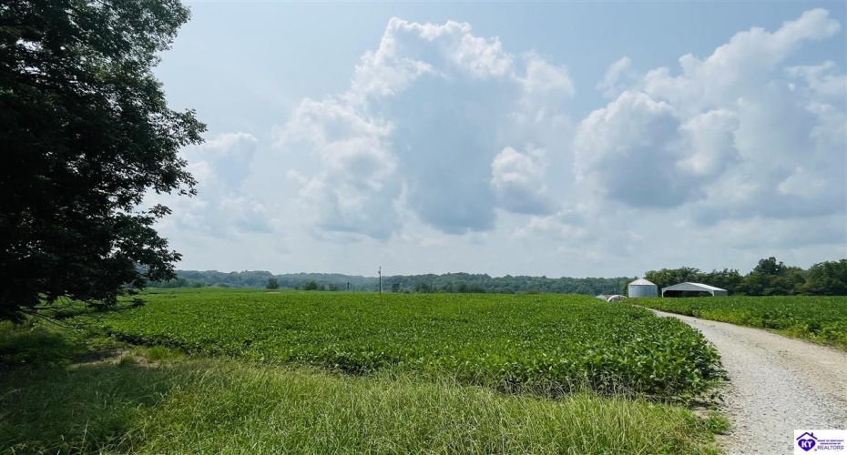 Bramlett Road, Greensburg, Kentucky 42743, ,For Sale,Bramlett Road,HK24002841