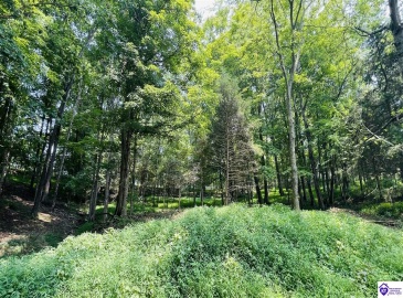 Bramlett Road, Greensburg, Kentucky 42743, ,For Sale,Bramlett Road,HK24002841