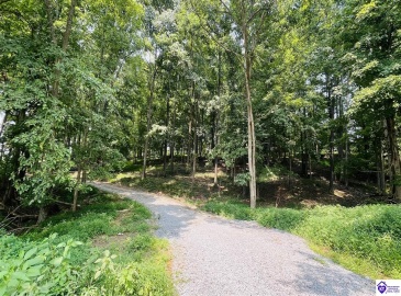 Bramlett Road, Greensburg, Kentucky 42743, ,For Sale,Bramlett Road,HK24002841