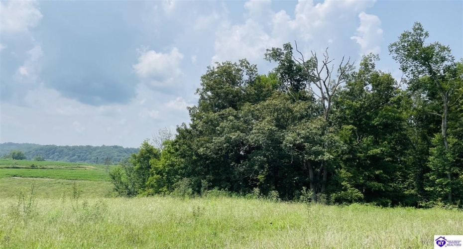 Bramlett Road, Greensburg, Kentucky 42743, ,For Sale,Bramlett Road,HK24002841