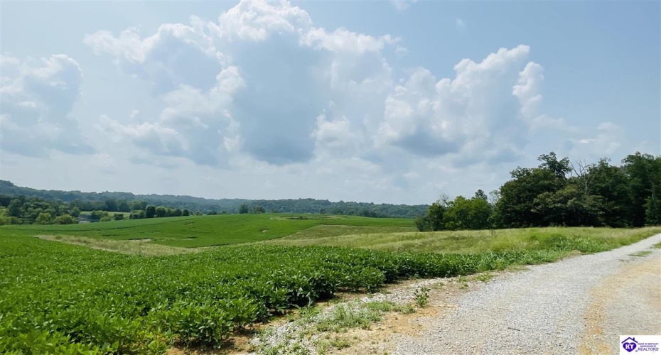 Bramlett Road, Greensburg, Kentucky 42743, ,For Sale,Bramlett Road,HK24002841