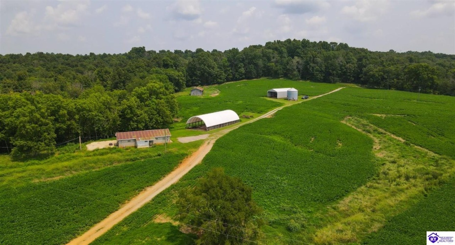 Bramlett Road, Greensburg, Kentucky 42743, ,For Sale,Bramlett Road,HK24002841