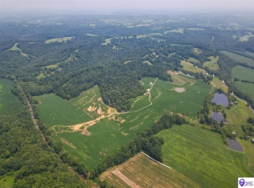 Bramlett Road, Greensburg, Kentucky 42743, ,For Sale,Bramlett Road,HK24002841