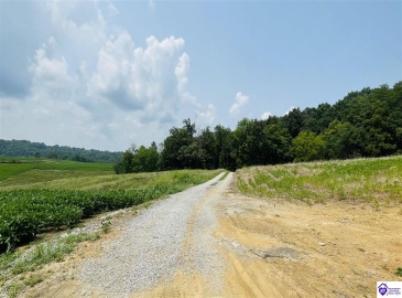Bramlett Road, Greensburg, Kentucky 42743, ,For Sale,Bramlett Road,HK24002841