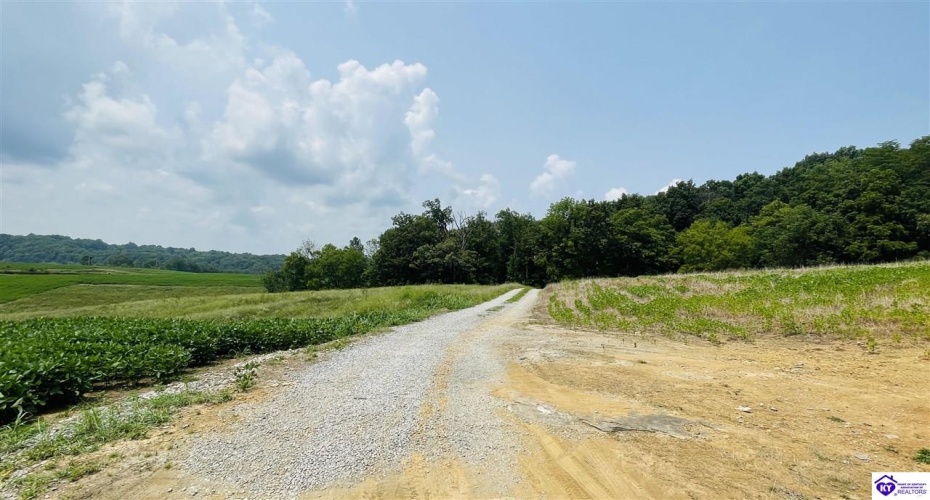 Bramlett Road, Greensburg, Kentucky 42743, ,For Sale,Bramlett Road,HK24002841
