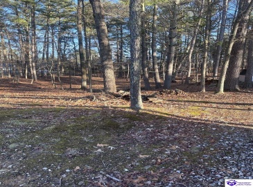 Pine Ridge Drive, Brandenburg, Kentucky 40108, ,2 BathroomsBathrooms,For Sale,Pine Ridge Drive,HK24000337