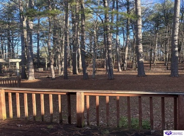 Pine Ridge Drive, Brandenburg, Kentucky 40108, ,2 BathroomsBathrooms,For Sale,Pine Ridge Drive,HK24000337