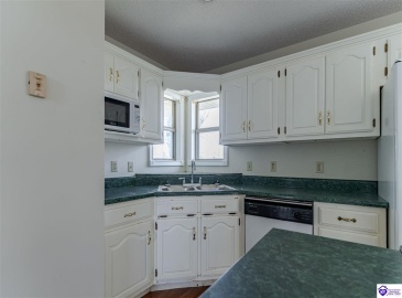 Anneta Road, Leitchfield, Kentucky 42754, ,2 BathroomsBathrooms,For Sale,Anneta Road,HK24002858