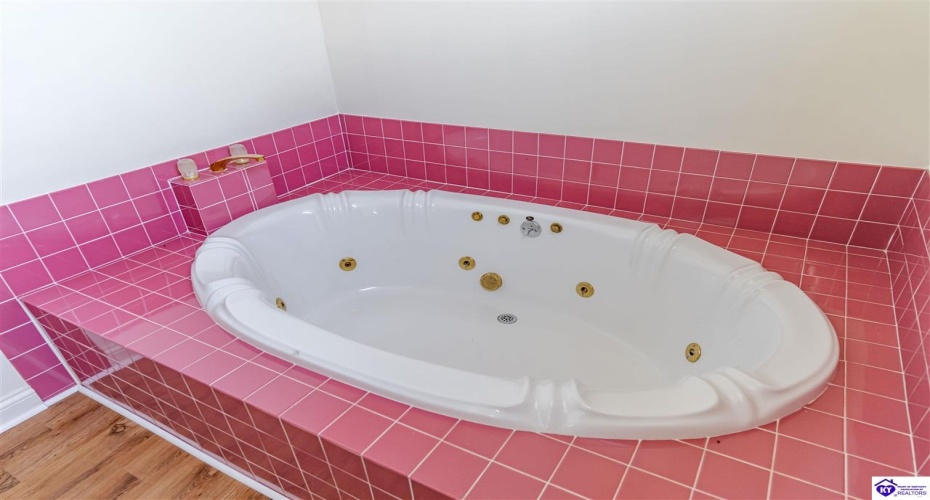 Anneta Road, Leitchfield, Kentucky 42754, ,2 BathroomsBathrooms,For Sale,Anneta Road,HK24002858