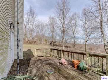 Anneta Road, Leitchfield, Kentucky 42754, ,2 BathroomsBathrooms,For Sale,Anneta Road,HK24002858