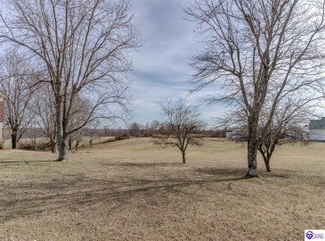 Anneta Road, Leitchfield, Kentucky 42754, ,2 BathroomsBathrooms,For Sale,Anneta Road,HK24002858