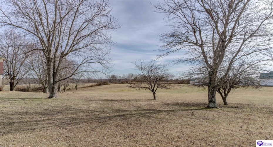 Anneta Road, Leitchfield, Kentucky 42754, ,2 BathroomsBathrooms,For Sale,Anneta Road,HK24002858