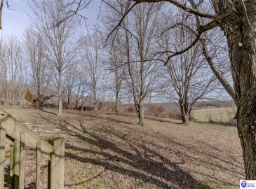 Anneta Road, Leitchfield, Kentucky 42754, ,2 BathroomsBathrooms,For Sale,Anneta Road,HK24002858