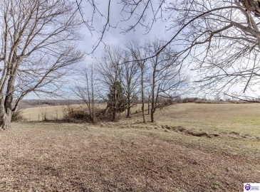 Anneta Road, Leitchfield, Kentucky 42754, ,2 BathroomsBathrooms,For Sale,Anneta Road,HK24002858