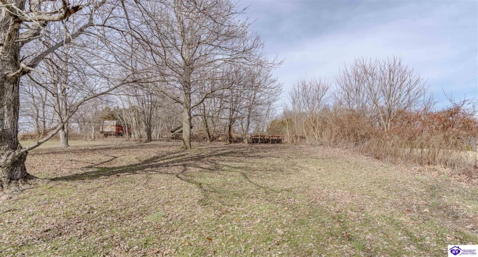 Anneta Road, Leitchfield, Kentucky 42754, ,2 BathroomsBathrooms,For Sale,Anneta Road,HK24002858