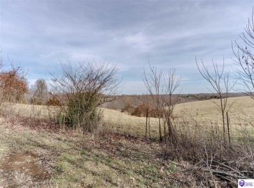 Anneta Road, Leitchfield, Kentucky 42754, ,2 BathroomsBathrooms,For Sale,Anneta Road,HK24002858