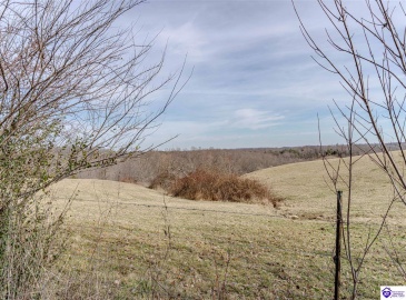 Anneta Road, Leitchfield, Kentucky 42754, ,2 BathroomsBathrooms,For Sale,Anneta Road,HK24002858