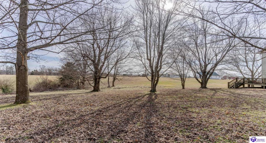 Anneta Road, Leitchfield, Kentucky 42754, ,2 BathroomsBathrooms,For Sale,Anneta Road,HK24002858