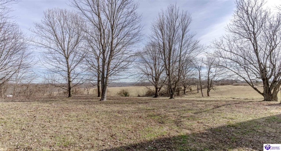 Anneta Road, Leitchfield, Kentucky 42754, ,2 BathroomsBathrooms,For Sale,Anneta Road,HK24002858