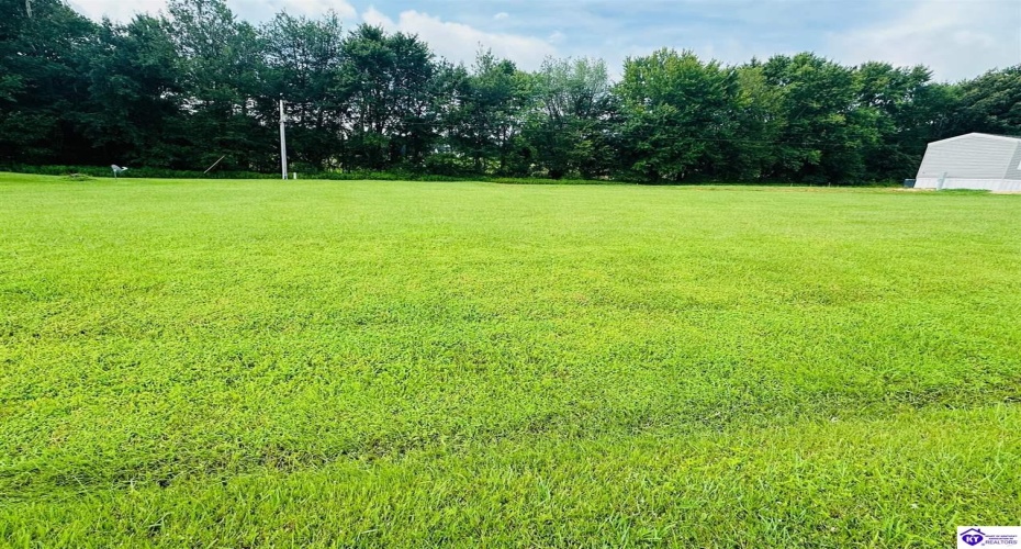 Freedom School Road, Leitchfield, Kentucky 42754, ,1 BathroomBathrooms,For Sale,Freedom School Road,HK24002874