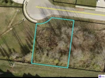 Freeman Lake Road, Elizabethtown, Kentucky 42701, ,For Sale,Freeman Lake Road,HK24002882