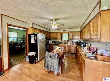 Dove Lane, Brownsville, Kentucky 42210, ,1 BathroomBathrooms,For Sale,Dove Lane,HK24002893