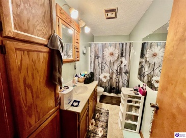 Dove Lane, Brownsville, Kentucky 42210, ,1 BathroomBathrooms,For Sale,Dove Lane,HK24002893