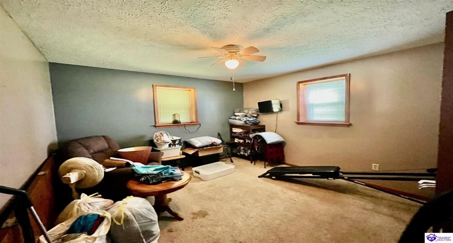 Dove Lane, Brownsville, Kentucky 42210, ,1 BathroomBathrooms,For Sale,Dove Lane,HK24002893