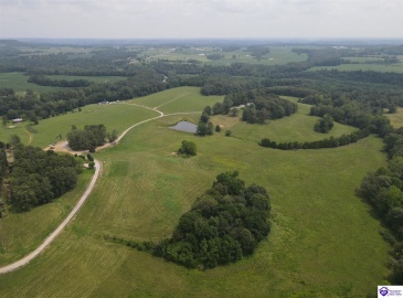 Dove Lane, Brownsville, Kentucky 42210, ,1 BathroomBathrooms,For Sale,Dove Lane,HK24002893