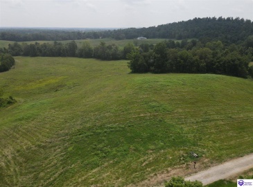 Dove Lane, Brownsville, Kentucky 42210, ,1 BathroomBathrooms,For Sale,Dove Lane,HK24002893