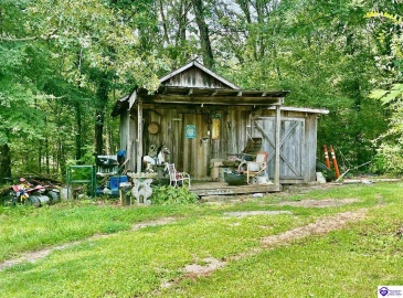 Dove Lane, Brownsville, Kentucky 42210, ,1 BathroomBathrooms,For Sale,Dove Lane,HK24002893