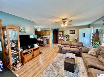 Dove Lane, Brownsville, Kentucky 42210, ,1 BathroomBathrooms,For Sale,Dove Lane,HK24002893