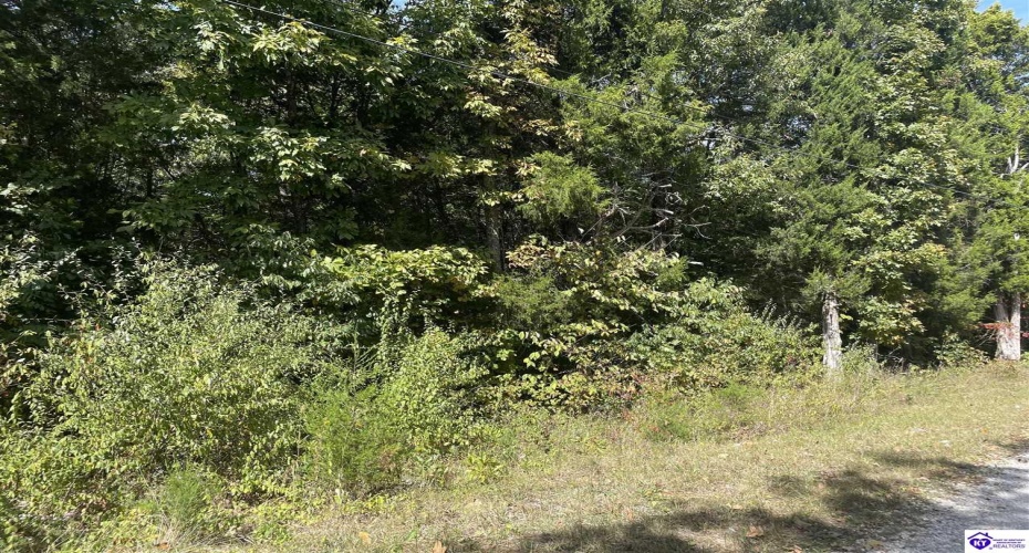 Rosetta Drive, Irvington, Kentucky 40146, ,For Sale,Rosetta Drive,HK10062562