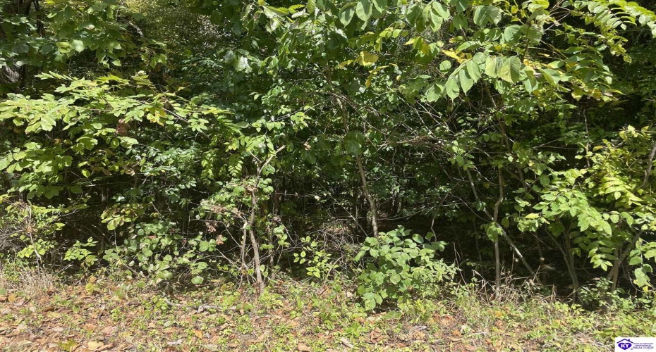 Rosetta Drive, Irvington, Kentucky 40146, ,For Sale,Rosetta Drive,HK10062562