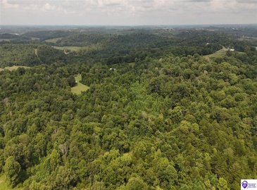 Akin Narrows-Pitman Creek Rd, Greensburg, Kentucky 42743, ,For Sale,Akin Narrows-Pitman Creek Rd,HK24002915