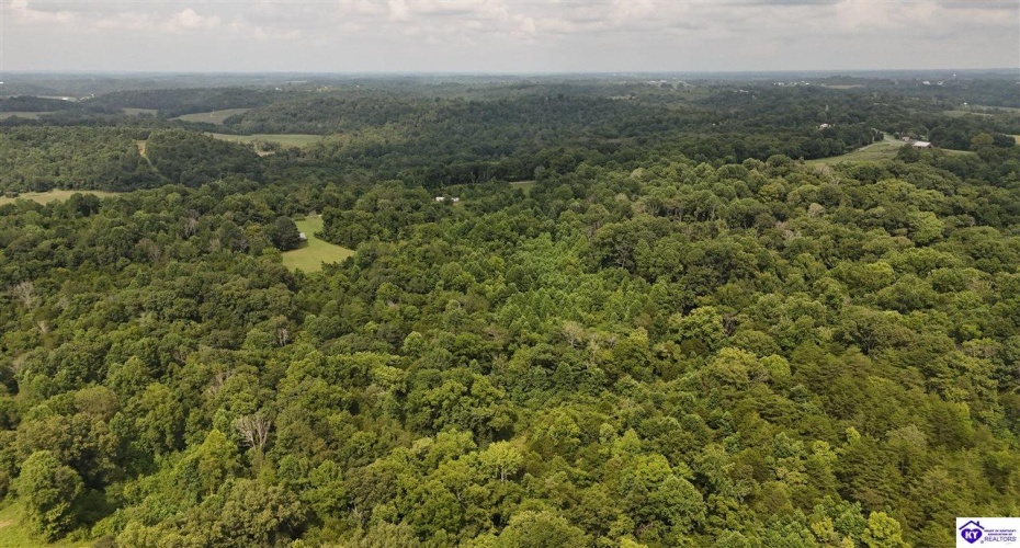 Akin Narrows-Pitman Creek Rd, Greensburg, Kentucky 42743, ,For Sale,Akin Narrows-Pitman Creek Rd,HK24002915