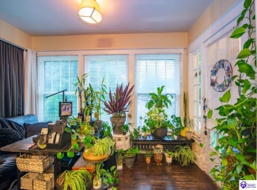 Vernon Avenue, Louisville, Kentucky 40206, 1 Bedroom Bedrooms, ,For Sale,Vernon Avenue,HK24002932