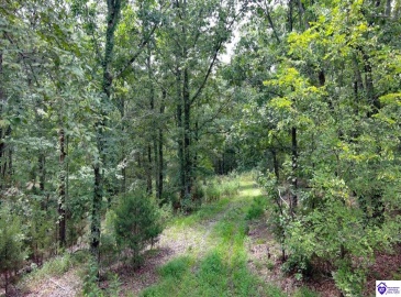 Balltown Road, New Haven, Kentucky 40051, ,For Sale,Balltown Road,HK24002951