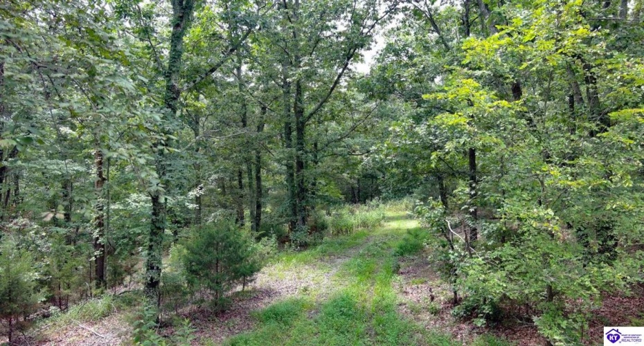 Balltown Road, New Haven, Kentucky 40051, ,For Sale,Balltown Road,HK24002951