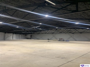 Cherry Street, Horse Cave, Kentucky 42749, ,For Sale,Cherry Street,HK24002947