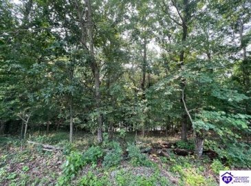 Shores Road, Falls Of Rough, Kentucky 40119, ,For Sale,Shores Road,HK23002436