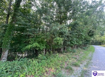 Shores Road, Falls Of Rough, Kentucky 40119, ,For Sale,Shores Road,HK23002436