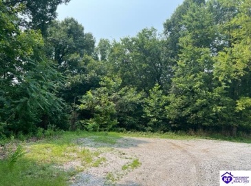 Shores Road, Falls Of Rough, Kentucky 40119, ,For Sale,Shores Road,HK23002436