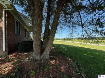 Highway 401, Hudson, Kentucky 40145, ,2 BathroomsBathrooms,For Sale,Highway 401,HK24003006