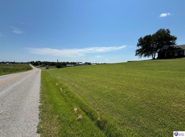 Highway 401, Hudson, Kentucky 40145, ,2 BathroomsBathrooms,For Sale,Highway 401,HK24003006